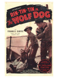 The Wolf Dog  1933