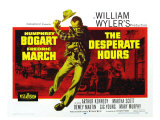 The Desperate Hours  1955