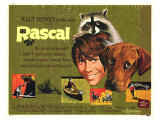 Rascal  1969