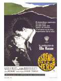 Splendor in the Grass  Spanish Movie Poster  1961