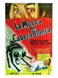 The Fly  Argentine Movie Poster  1958
