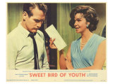 Sweet Bird of Youth  1962