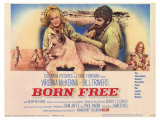 Born Free  1966