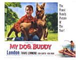 My Dog Buddy  1960