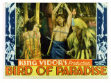 Bird of Paradise  1932