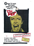 The Fly  1958