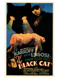 The Black Cat