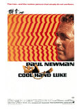 Cool Hand Luke  1967