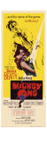 Mickey One  1965