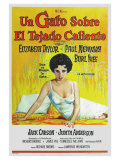 Cat On a Hot Tin Roof  Argentine Movie Poster  1958