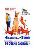 The Ugly Dachshund  Belgian Movie Poster  1966