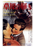 Splendor in the Grass  Japanese Movie Poster  1961