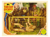 Tarzan Escapes  1936