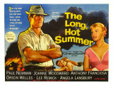 The Long  Hot Summer  UK Movie Poster  1958