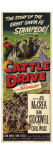 Cattle Drive  1951