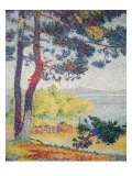 Afternoon at Pardigon