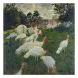 Les Dindons (The Turkeys)