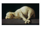 Agnus Dei (Lamb of God)