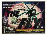 The Fly  UK Movie Poster  1958