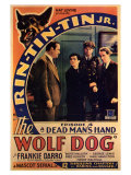 The Wolf Dog  1933