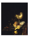 Still Life