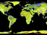 Digital Elevation Model of the Continents on Earth