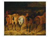 Five Horses Viewed from the Back