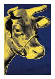 Cow  c1971 (Blue and Yellow)