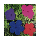 Flowers (Purple  Blue  Pink  Red)