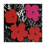 Flowers  c1964 (Red and Pink)