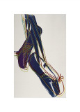 Ballet Slippers  c1981-82
