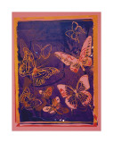 Vanishing Animals: Butterflies  c1986 (Peach on Navy)