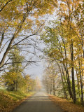 Rural Road in Autumn at Dawn  Vermont