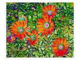 Orange Flowers
