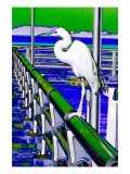 Egret Perched  Florida