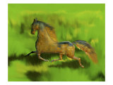 Regal Stallion in Field