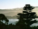 Hazy Mountain Lake  Seen from Top of Hill in Tiburon  Northern California  USA