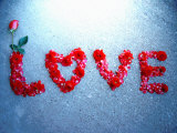 Rose Protrudes from Rose Petal Message