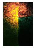 Abstract Image in Red  Yellow  and Green