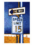 One Way and Speed Limit Sign
