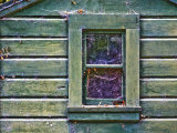 Window of Abandoned Building
