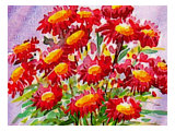 Bouquet of Asters