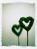 A Green Love Sign with its Shadow