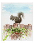 Squirrel Sitting on the Fence Above a Pot of Ivy