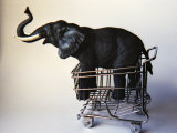 Profile Toy Elephant in Toy Supermarket Cart