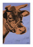 Cow  c1971 (Purple and Orange)