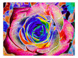 Rainbow-Colored Rose