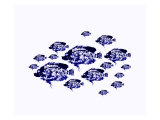 Blue School Dapple Fish Print