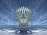 Shell Floating Above Ocean Tide with Blue Sky