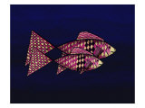 Two Red and Yellow Happy Fish